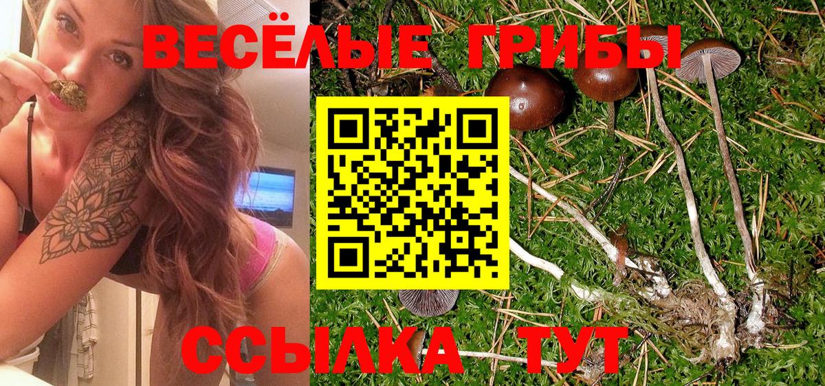Ярцево  Галлюциногенные грибы MAGIC MUSHROOMS  Галлюциногенные грибы мухоморы  купить наркотики сайты  Вход с VPN 